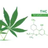 co je to THC ?