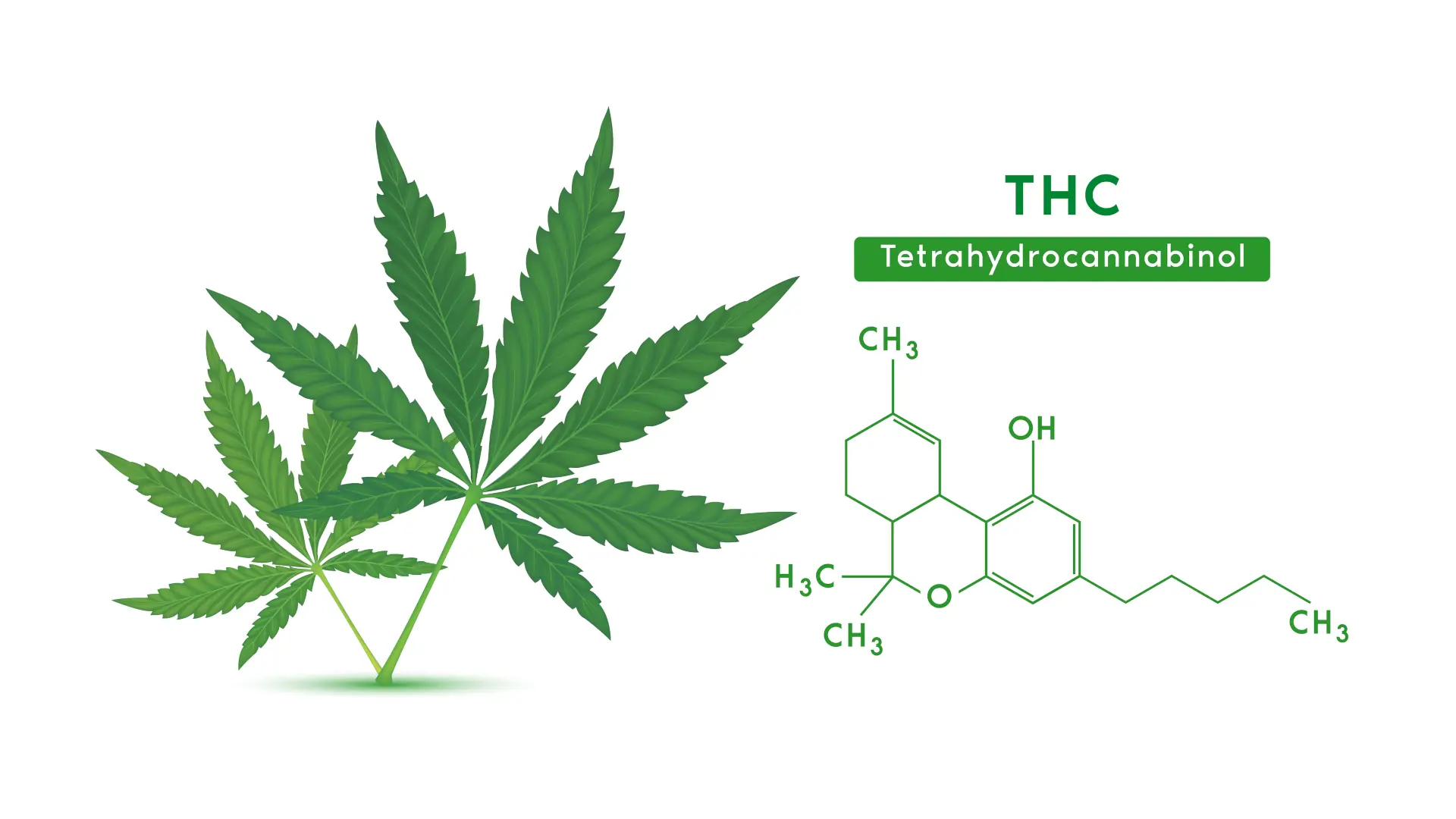 co je to THC ?